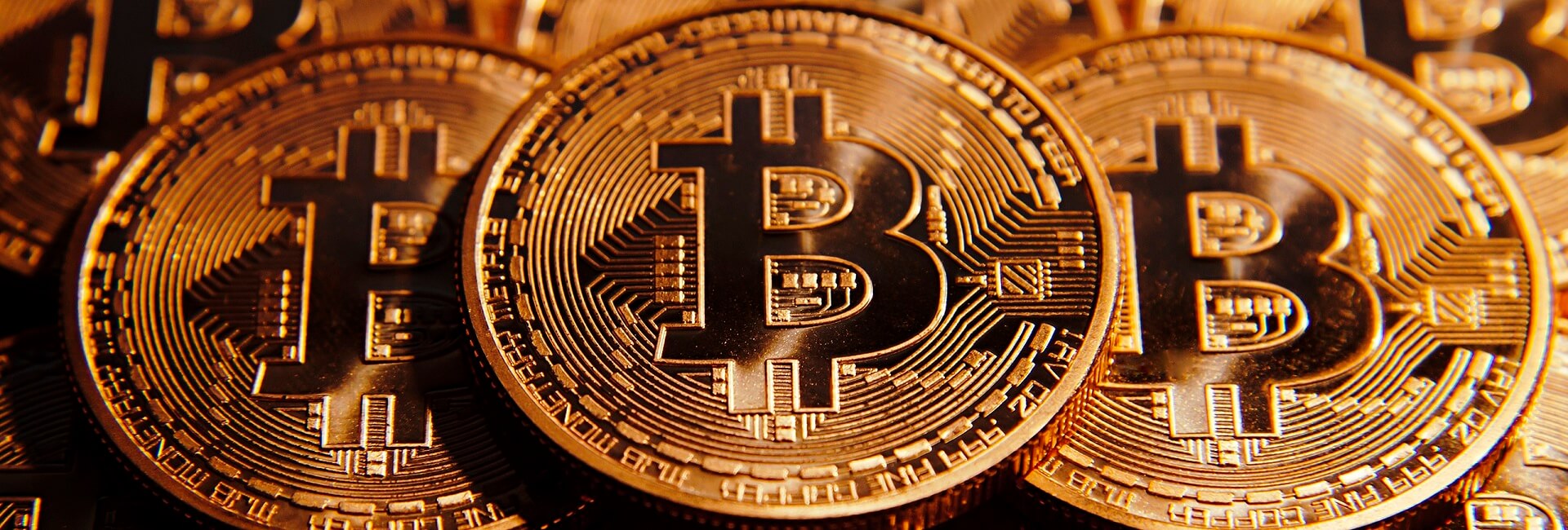 cum să faci bitcoin într- o singură zi indicatori profitabili pentru opțiunile binare 2021