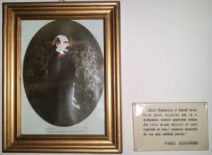 rusine nationala mormant Alecsandri Mircesti interior (17)