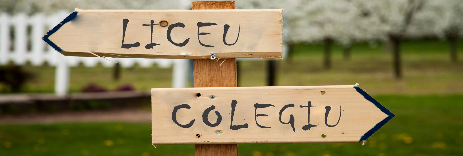 opinie educație România masterat doctorat vocație slider